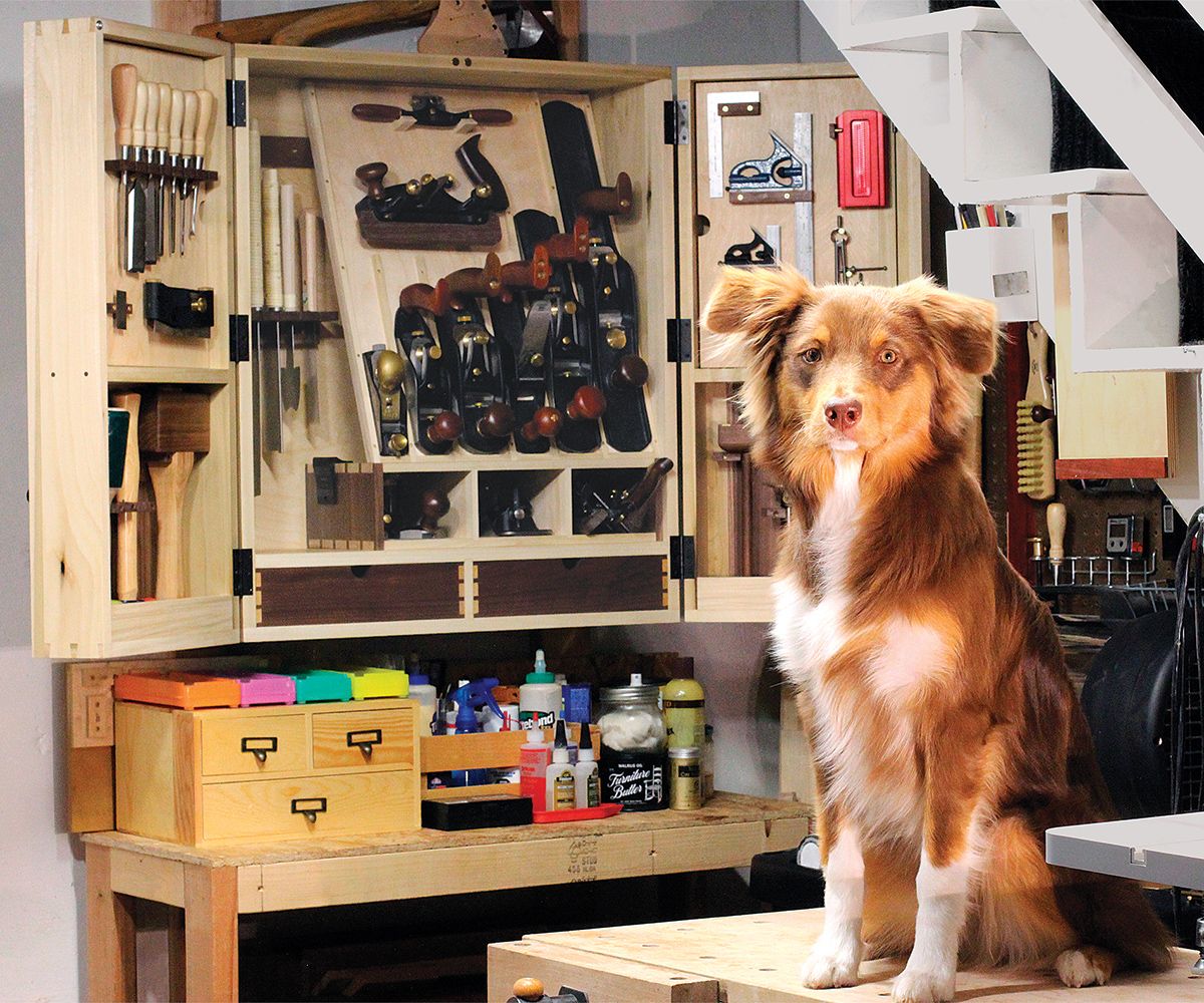 Hand-Tool Cabinet with dog