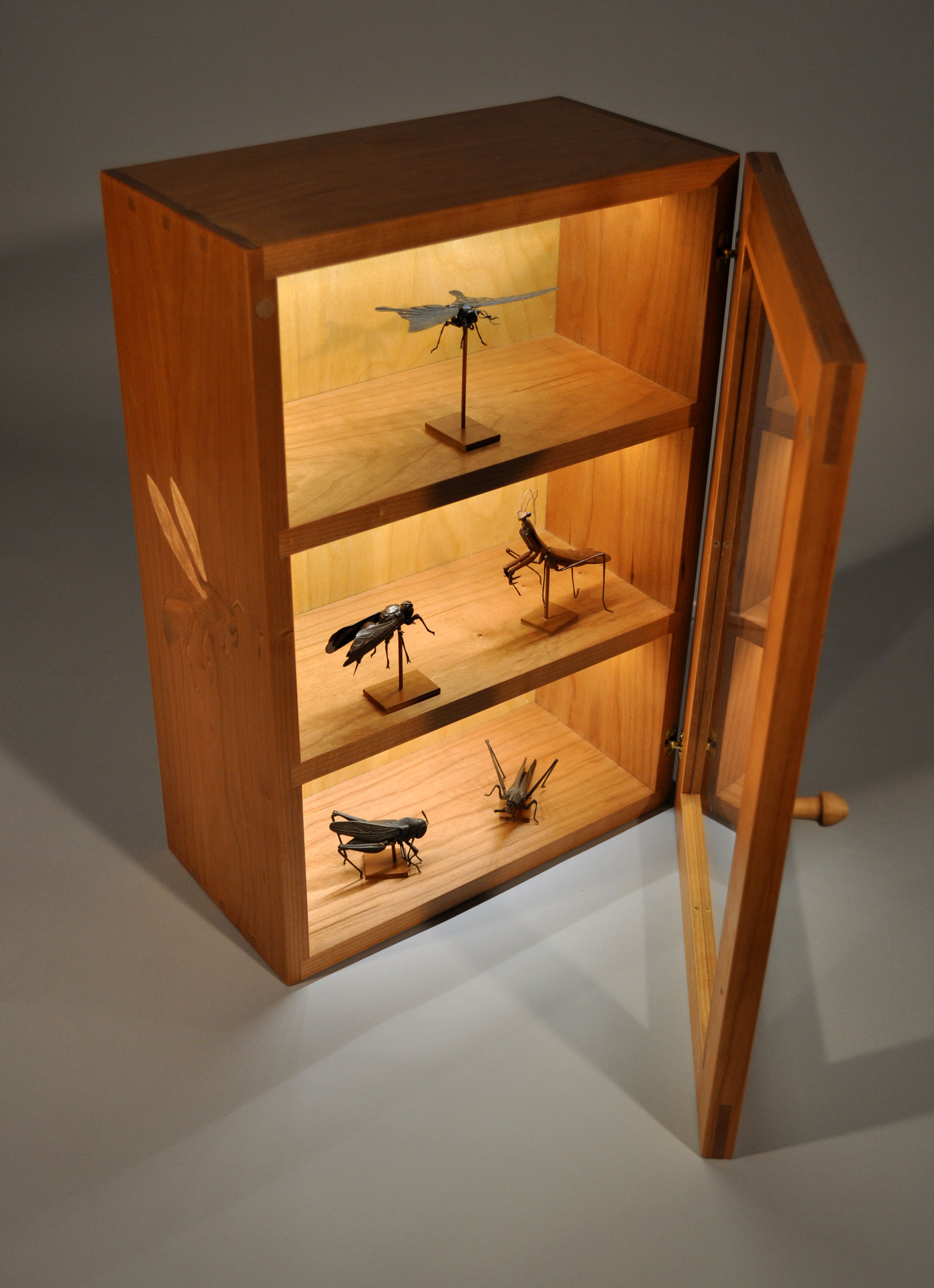 A box for bugs - FineWoodworking