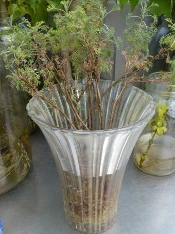 13. Propagation