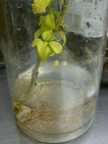 13. Propagation
