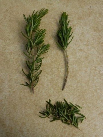 13. Propagation
