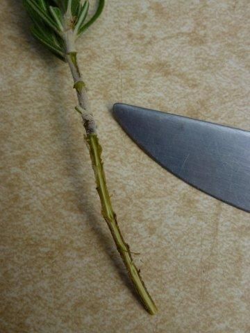 13. Propagation