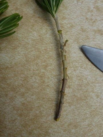 13. Propagation