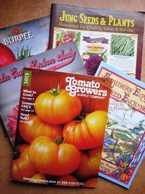 Burpee Heirloom Favorites Tomato Seed Collection