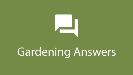 Discussion Forum