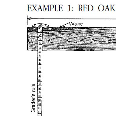 Lumber Grading - FineWoodworking