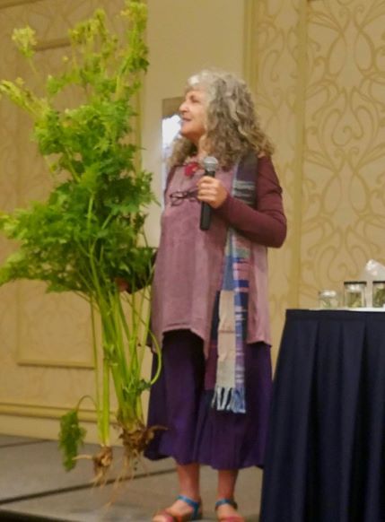 Author speaking at conference holding a large specimen of sweet cicely