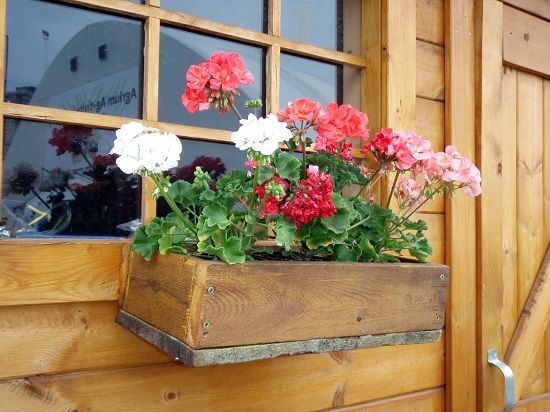 Flower Box - Wooden Box