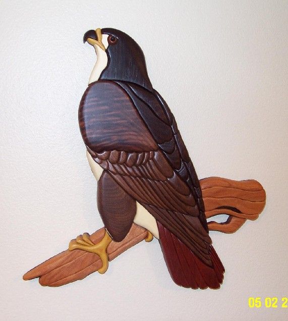 Intarsia Redtail Hawk - FineWoodworking
