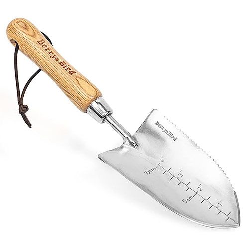 Serrated edge deals trowel