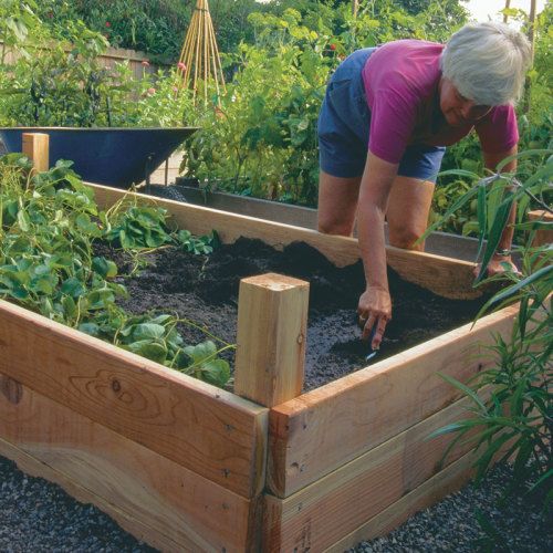 Redwood raised bed