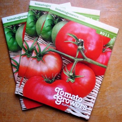 Watermelon Beefsteak Tomato – Tomato Growers Supply Company