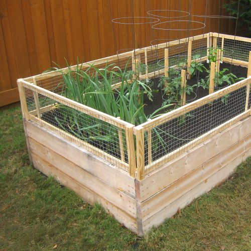 completed removable pest gate on raised bed
