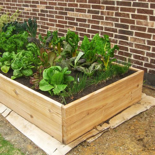 The Benefits of Raised Garden Beds - FineGardening