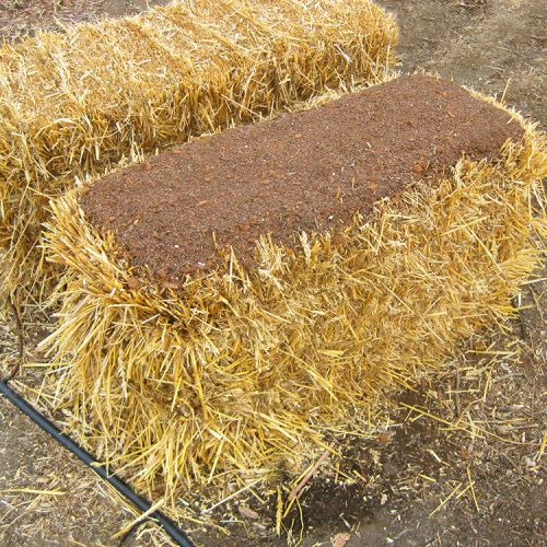 Bale of Straw