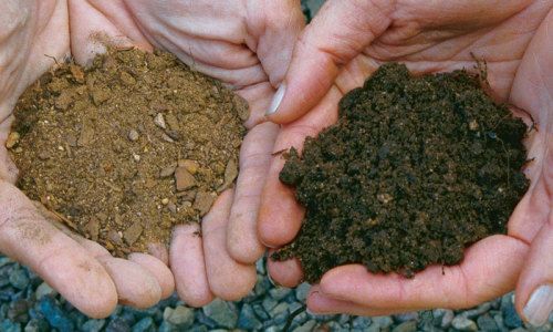 Original soil in left hand; Black gold in the right