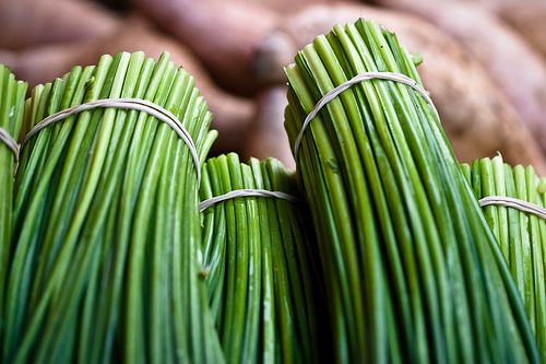 Chives Are a Must-Have in the Kitchen Garden - FineGardening