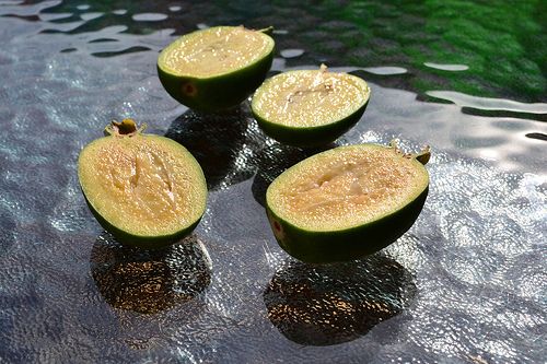 pineapple guava fruit