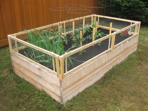 completed removable pest gate on raised bed