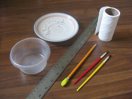 common household items to make seed tape