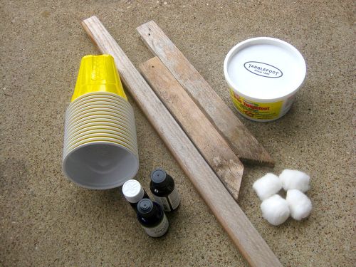 Materials for the cucumber trap include yellow cups, tanglefoot paste, essential oils, cotton balls, wood stakes, and metal staple gun and staples (not pictured).