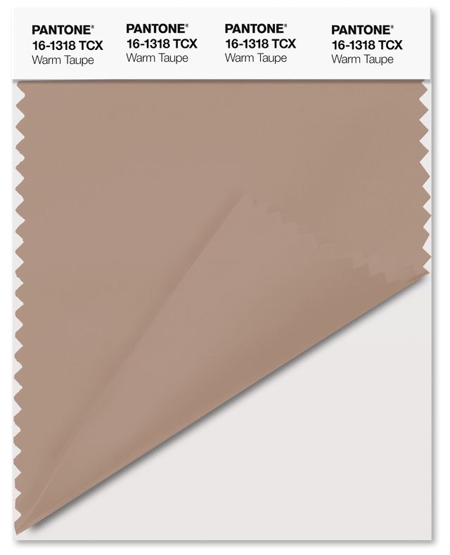 TAUPE #2 Invisible