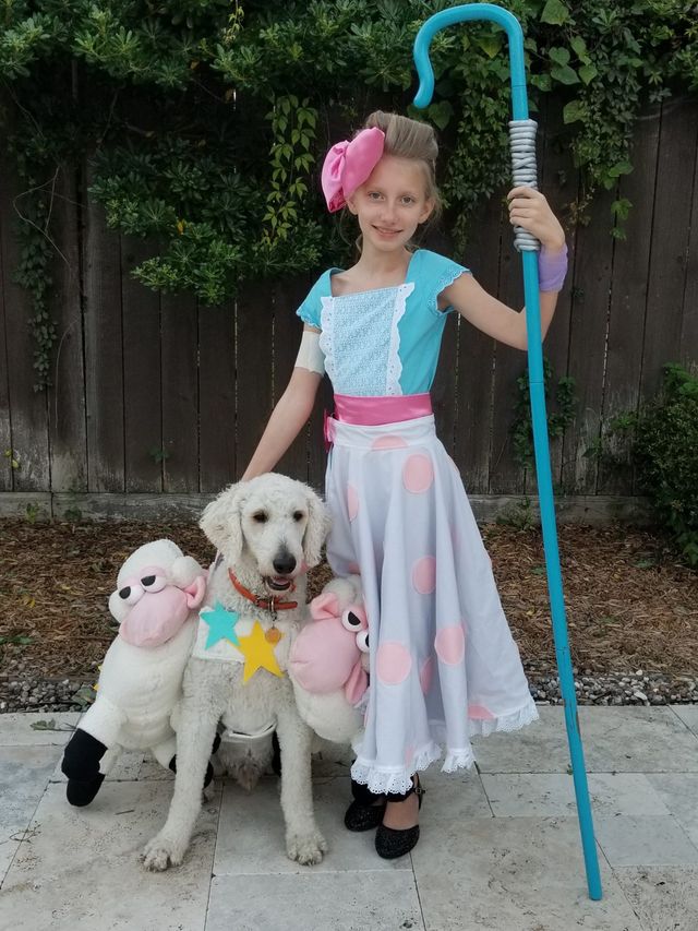 Bo peep sheep sales dog costume