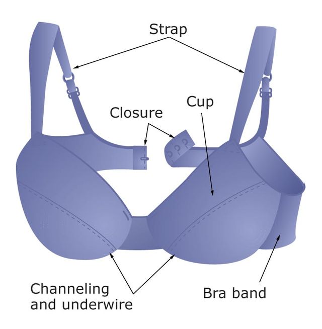 Women's U-Shaped Bra Wire Pull Non-Slip Underwear Gathered Backless Bra  Detachable Shoulder Strap Bra