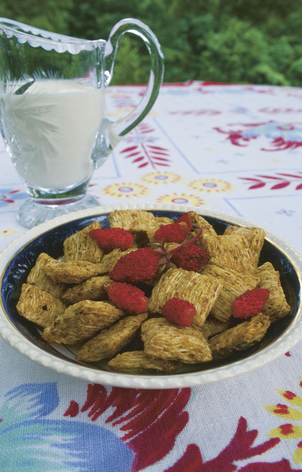 alpine strawberries in a bowl with cereal