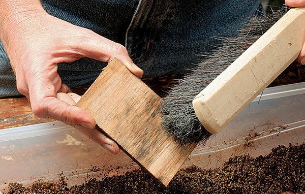 What to do to mill these maple logs? : r/woodworking