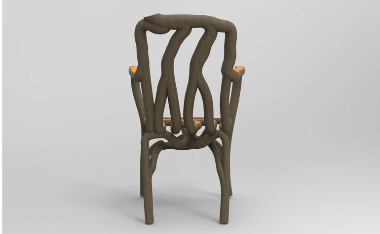 Trees trained to grow into furniture - FineWoodworking