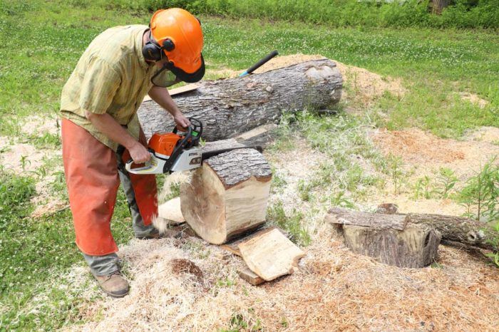 What You Need to Chainsaw Your Own Lumber