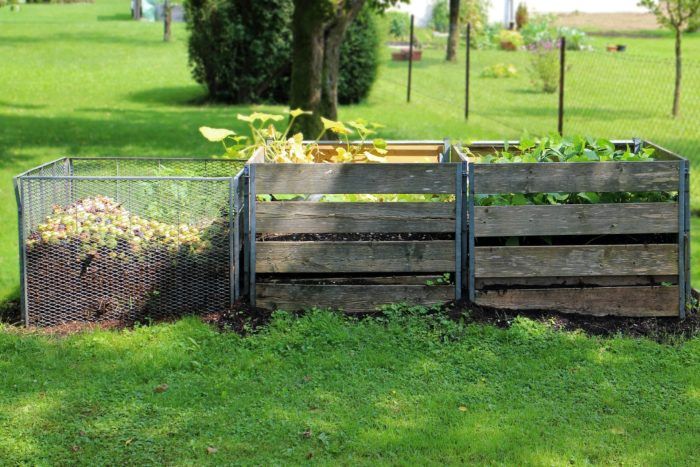 Everything You Need to Know About Composting
