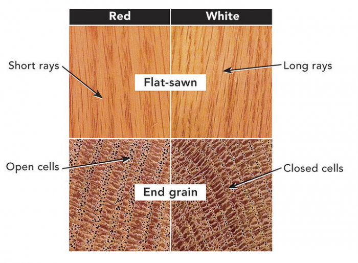 How to Finish Oak - Best Treatments for Red and White Oak Wood