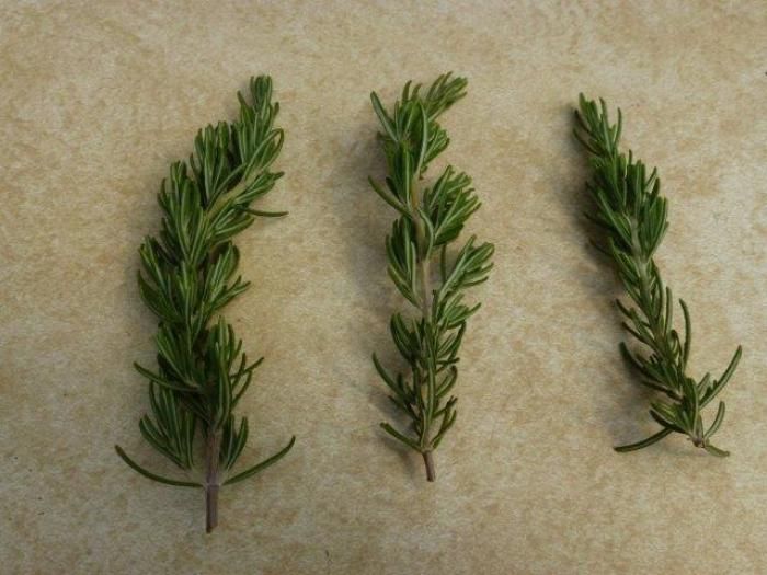 13. Propagation