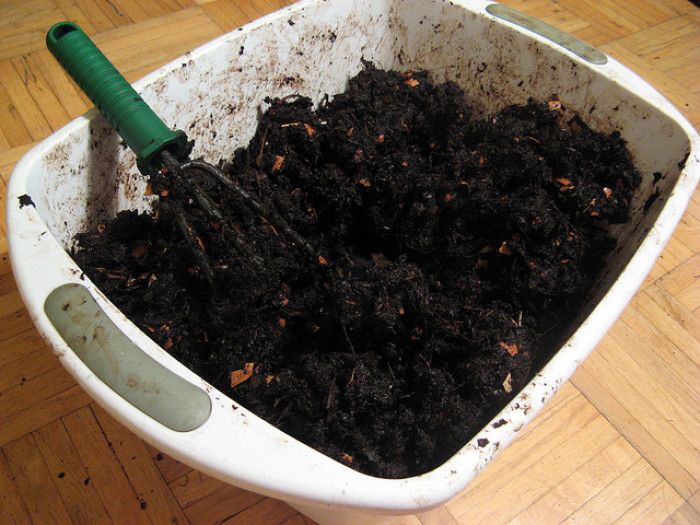 vermicompost in a plastic bin