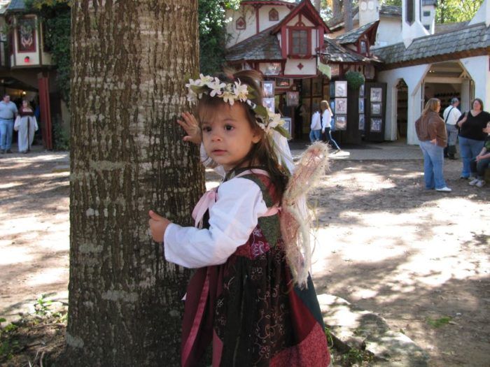 Prettiest Fairy Costume  Renaissance fair outfit, Fairy dress, Fairy  costume