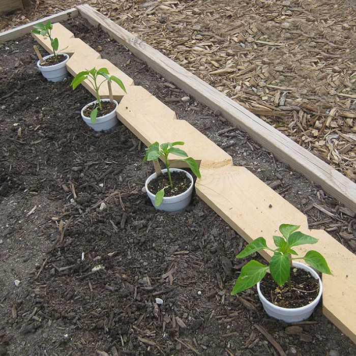 Gardening Hack: DIY Seed Spacer