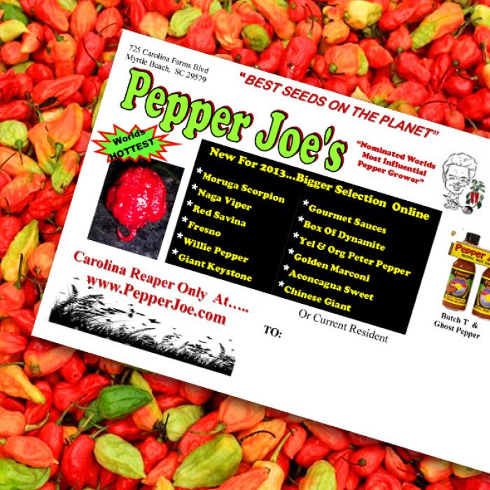 Hot pepper Carolina Reaper ,HP22B Selected