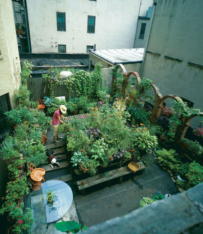 Rooftop Refuge in the Asphalt Jungle - FineGardening