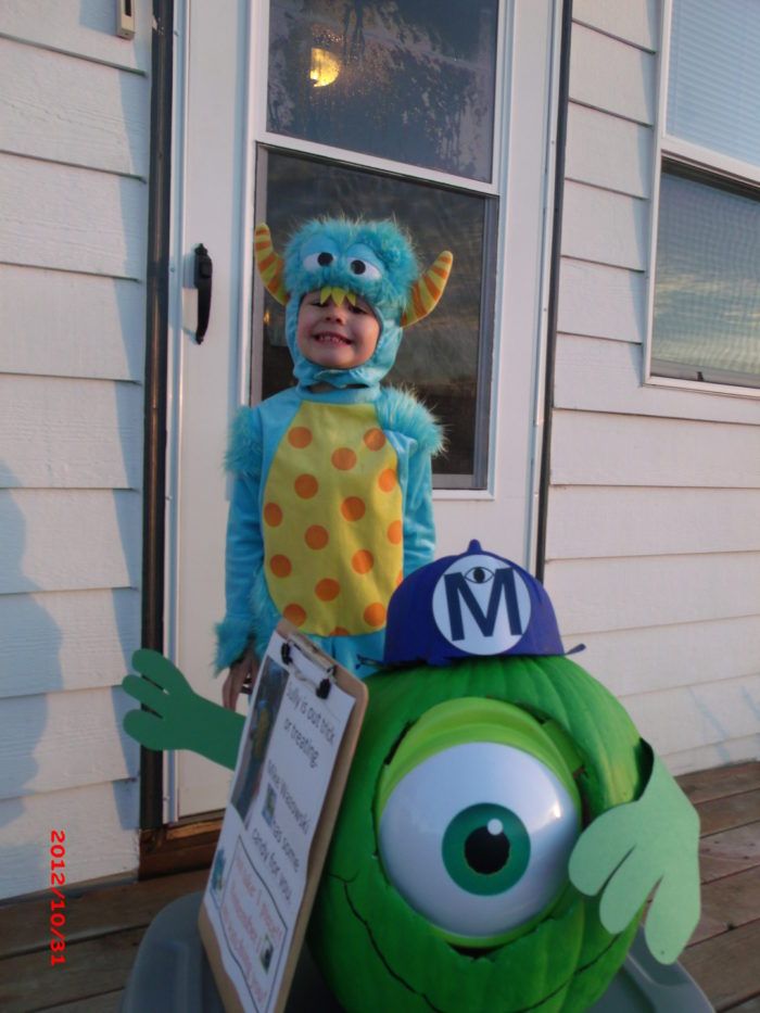 sully and mike costume