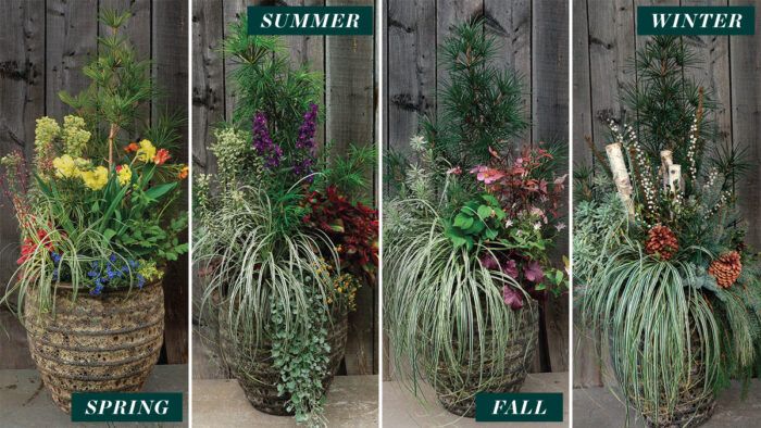 Here's how to container garden through the seasons