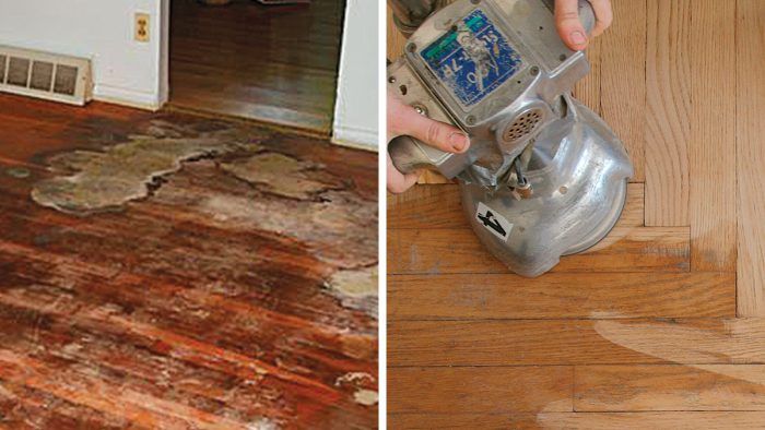 how do you get dog urine out of hardwood floors