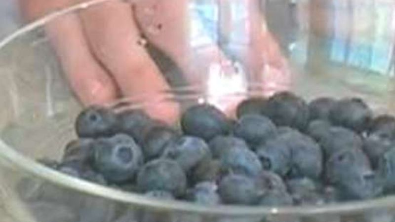 How to Preserve and Store Blueberries: Blueberry Compote