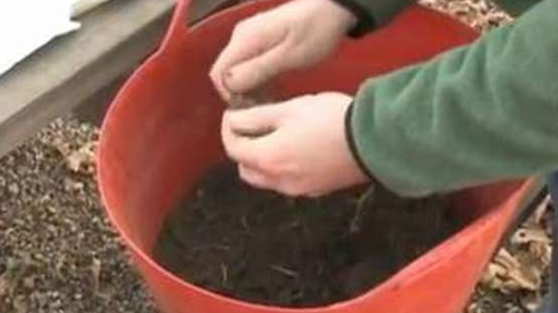 How to Start a Vegetable Garden: Testing Your Soil