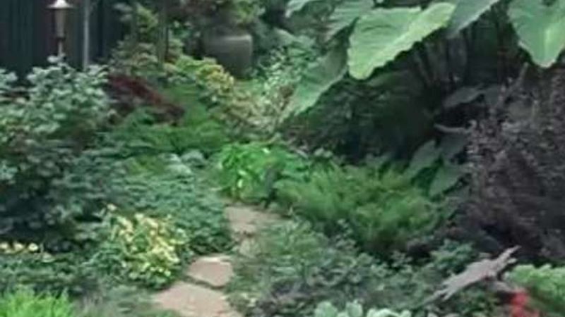 Video: A dynamic design for a garden passageway