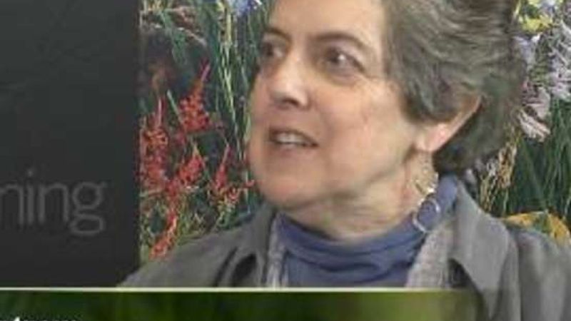 Plant Talk with Linda Engstrom