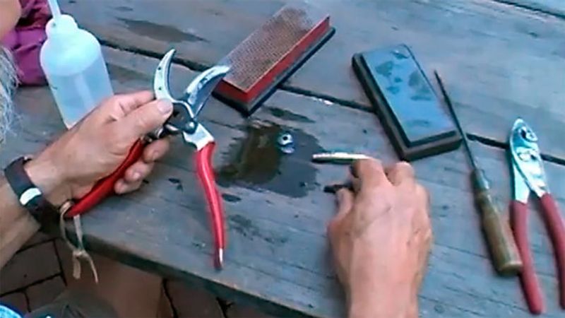 How to Sharpen Pruners Quickly