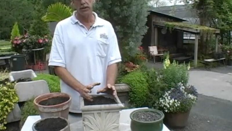 Potting Soil Recipe for Annuals