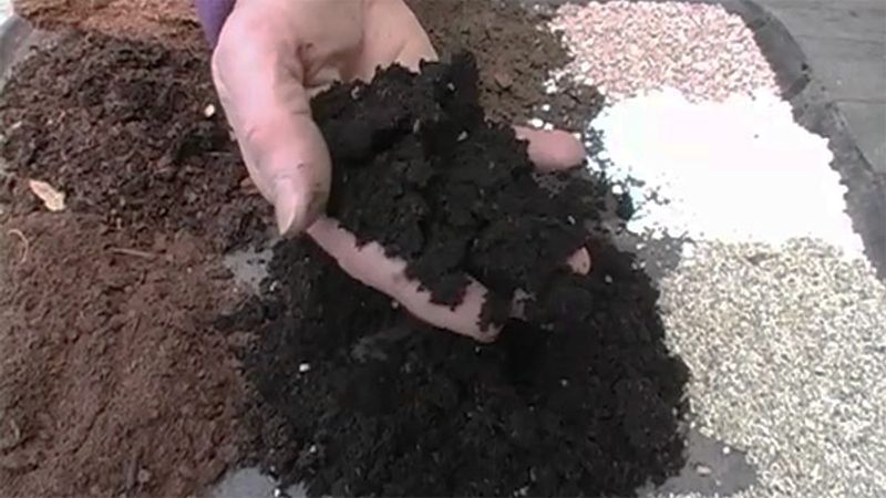A Basic Potting Soil Recipe